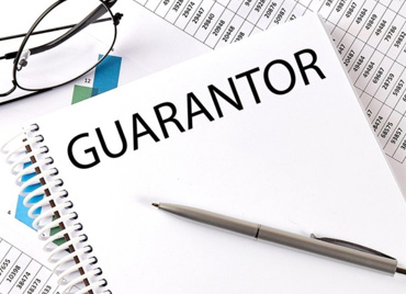 Professional guarantors: pros and cons