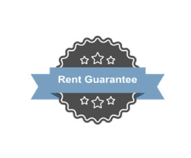 Professional guarantors: pros and cons